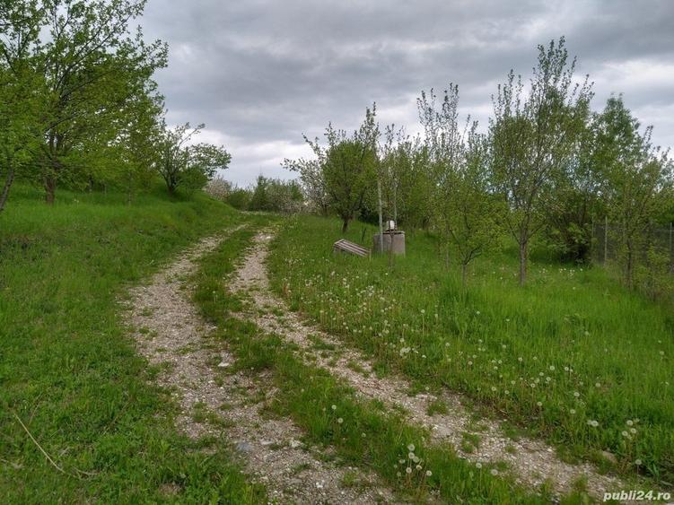 Casă cu 3 camere în Drajna