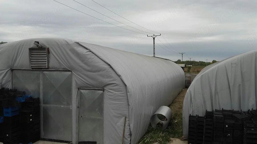 Spațiu comercial, de 500 mp, în Stoina