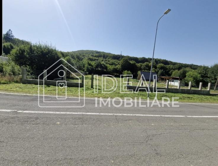 Teren agricol extravilan de 2300 mp, în Cârțișoara