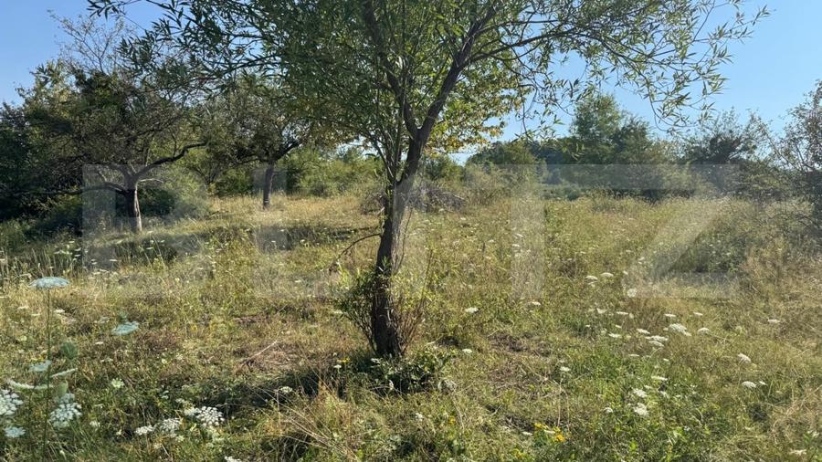 Teren Construcții extravilan de 1500 mp, în Sud