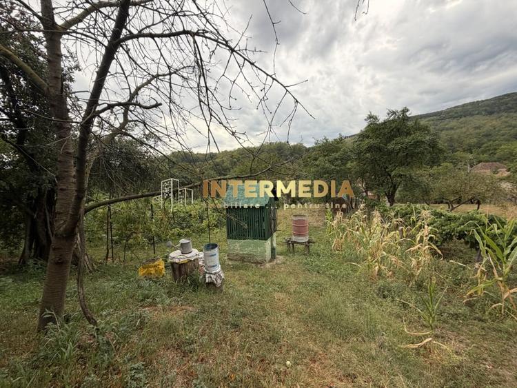 Casă individuală cu 3 camere cu Canalizare în Cricău