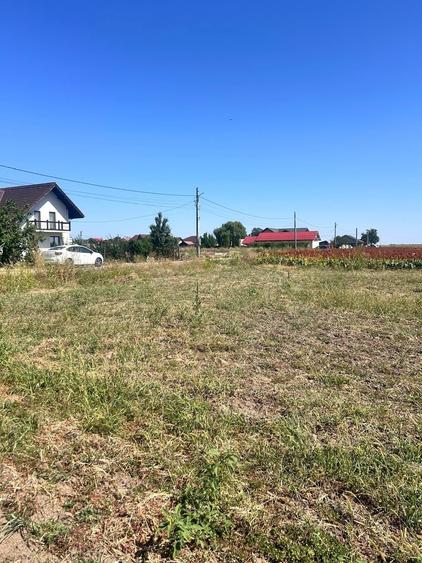 Teren de 10000 mp, în Băjani