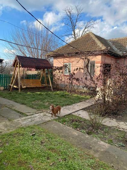 Casă cu 3 camere în Cobadin