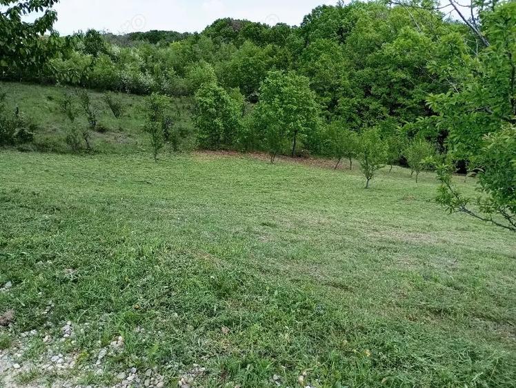 Teren de 1370 mp, în Băbana