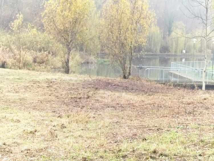 Teren de inchiriere eventual vanzare - 7