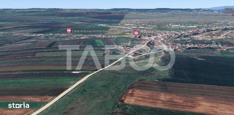 Teren de vanzare 30000 mp 60 ml deschidere Sura Mare Sibiu - 2