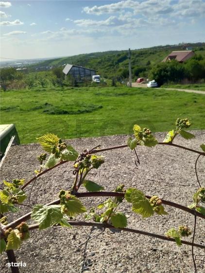 RECO Teren intravilan cu utilitati si panorama - Piersicilor -Paleu - 3
