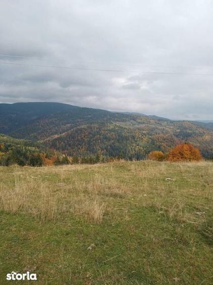 Vind teren in Muntii Apuseni - 1