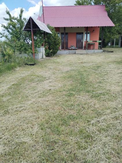 Casă cu 3 camere cu Teren 2700 Mp în Vrancea