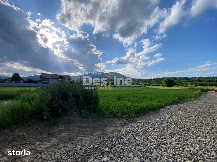 Teren de 735 mp, în Alexandru cel Bun