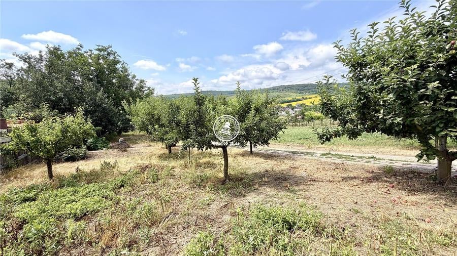 Casă cu 5 camere decomandat cu Teren 6400 Mp în Aroneanu
