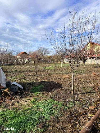 Casă cu 4 camere cu Teren 1200 Mp în Peciu Nou