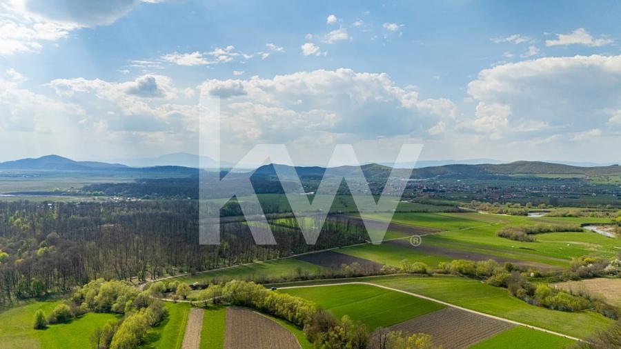 Teren Construcții intravilan de 1000 mp, în Lunca Calnicului