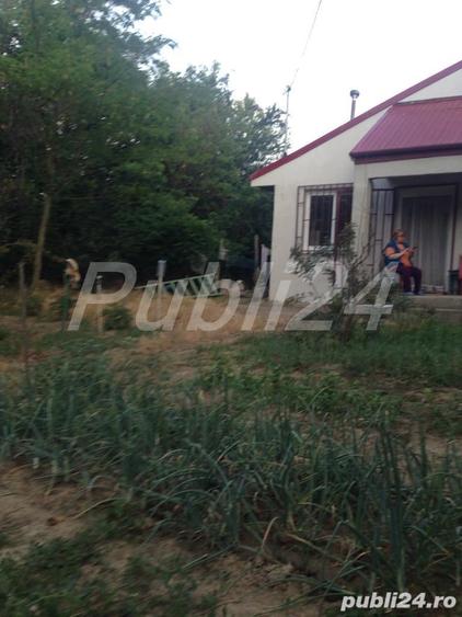 Casă cu 3 camere cu Teren 5000 Mp în Pătlăgeanca