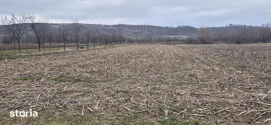 Casă cu 2 camere cu Teren 4000 Mp în Tăut