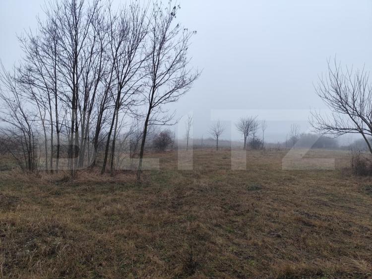 Teren Construcții intravilan de 1958 mp, în Ciurea