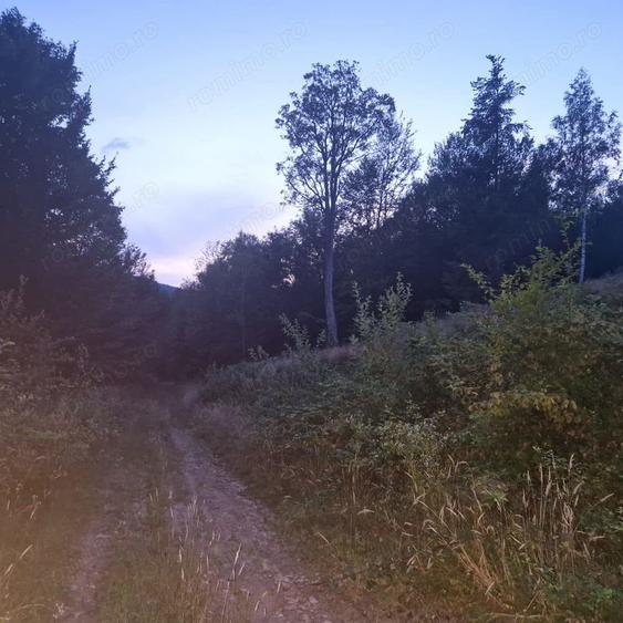 Teren în Central