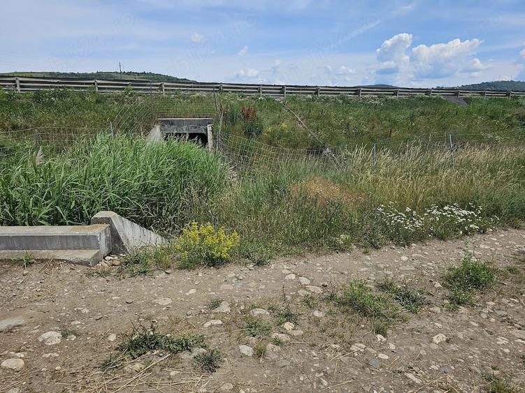 Teren de 2824 mp, în Central