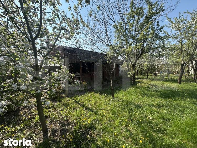 Teren de 250 mp, în Bercu Roșu