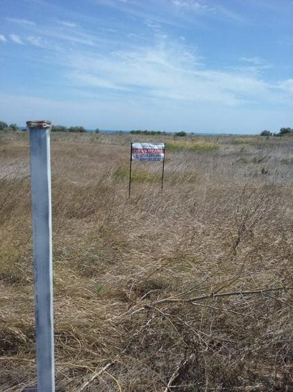 Teren Construcții intravilan de 4000 mp, în Sud