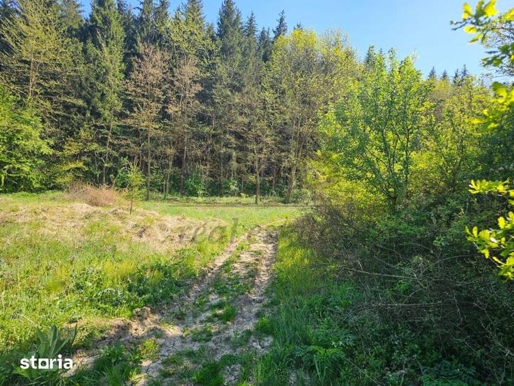 Teren de 3128 mp, în Mărgineni