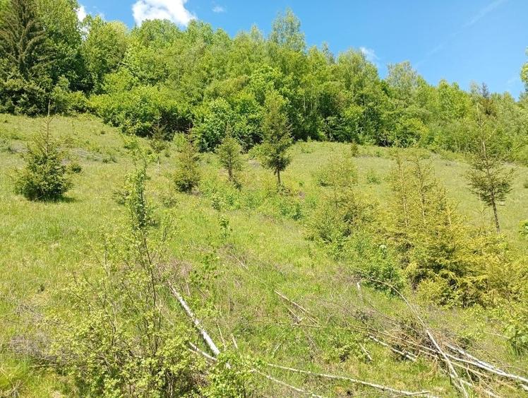 Casă cu 3 camere în Horea