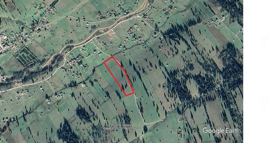 P.F., teren 22.500 mp la munte, Neagra Sarului, panorama, acte in regula. - 10