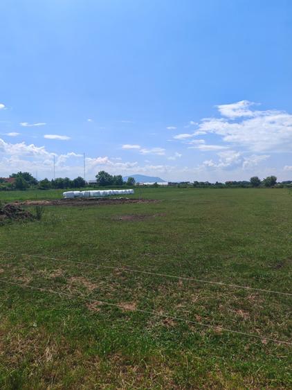 Teren Construcții intravilan de 5000 mp, în Bod