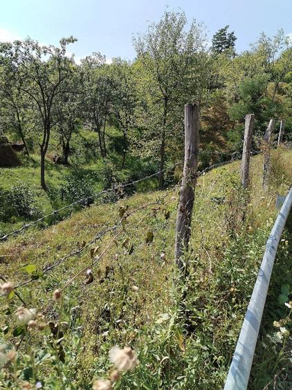 Teren de 520 mp, în Central