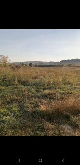 Teren Construcții intravilan de 5000 mp, în Ciurea