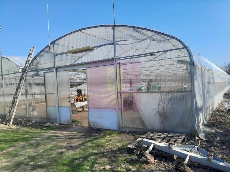 Teren de 3144 mp, în Roșiori