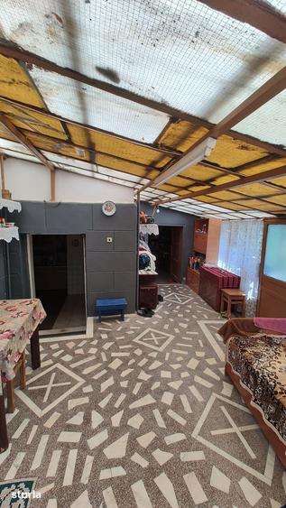 De vanzare casa in satul Carpinis - 18