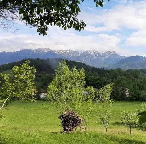 Vand Teren Moieciu de Jos Proprietar 1,250 mp in spatele cofetariei Panner - 1