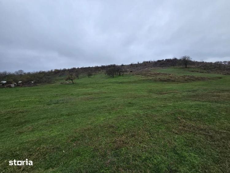 Teren de 100000 mp, în Albota