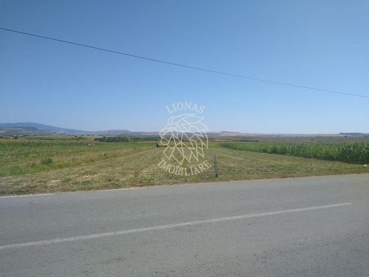 Teren agricol extravilan de 20000 mp, în Jelna