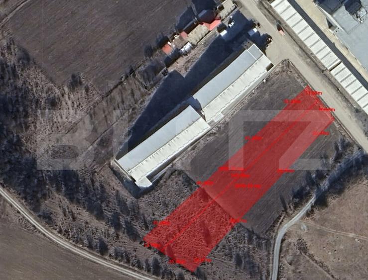 Teren Construcții intravilan de 4800 mp, în Baciu