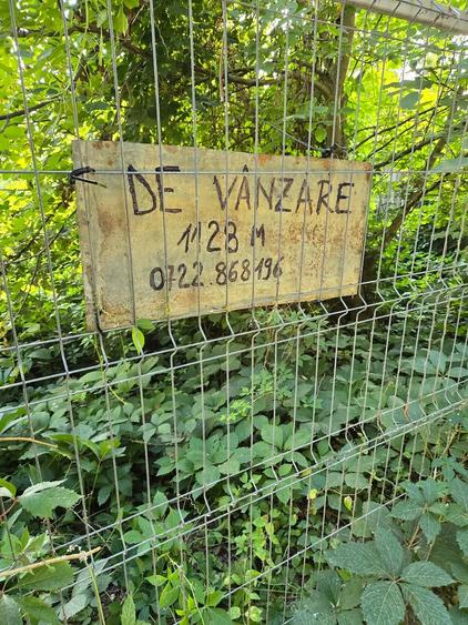 Teren de 1128 mp, în Snagov