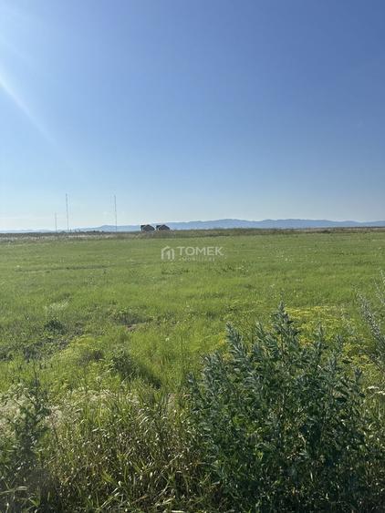 Teren Construcții intravilan de 1170 mp, în Bod