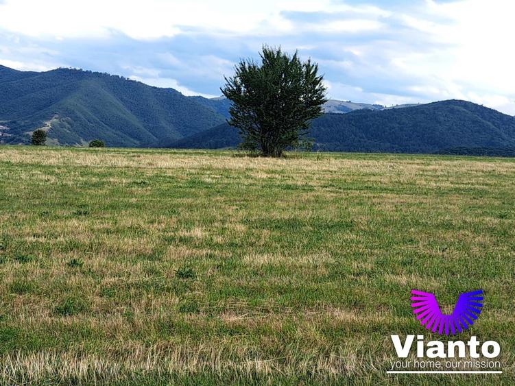 Teren agricol extravilan de 6200 mp, în Rășinari