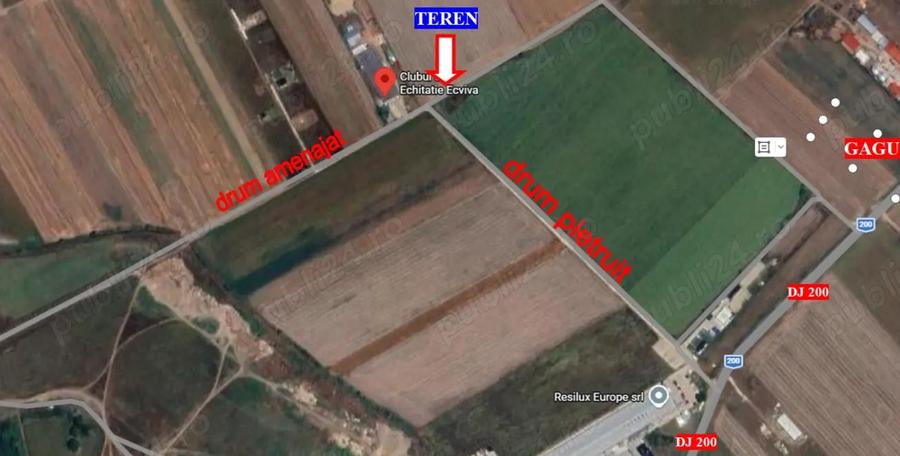 Teren Dascalu, 10.000 mp - 5