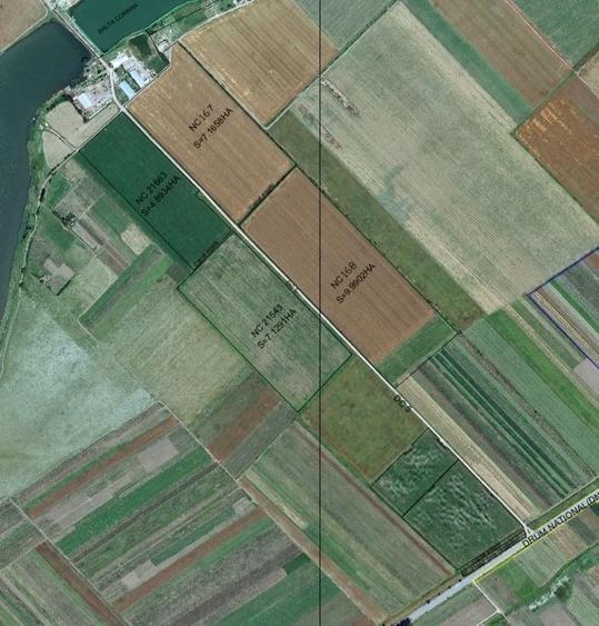 Teren de 290000 mp, în Movilița