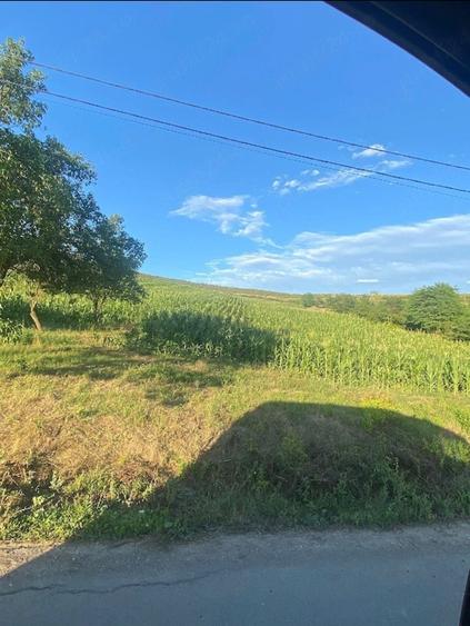 Teren de 5000 mp, în Ghirolt