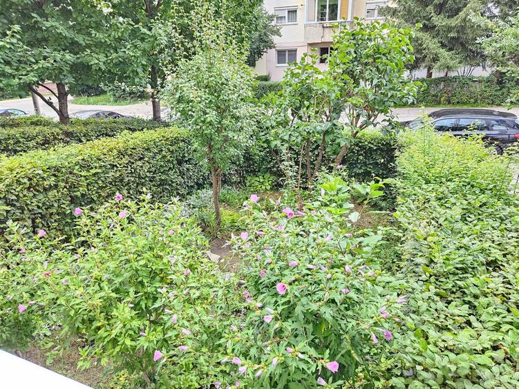 Garsonieră decomandată în Valea Aurie