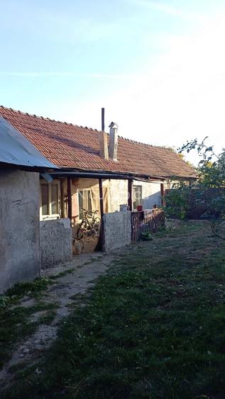 Casă cu Teren 900 Mp în Cârțișoara