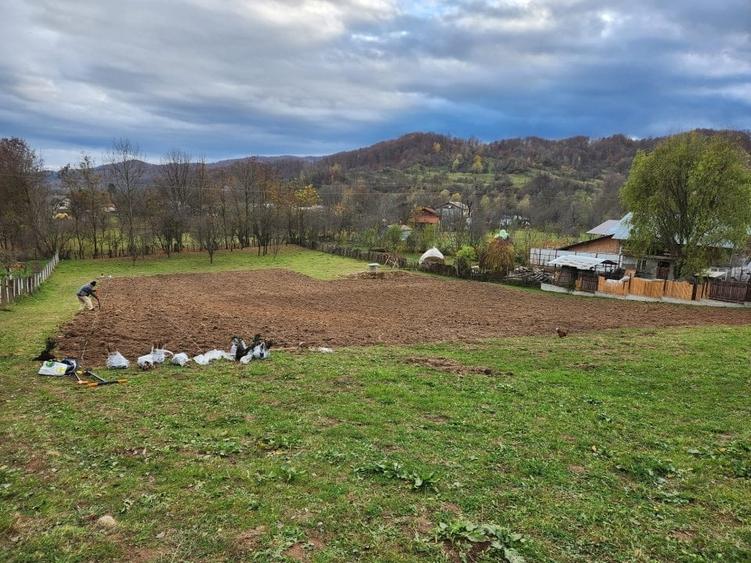 Teren Construcții intravilan de 3200 mp, în Adunați