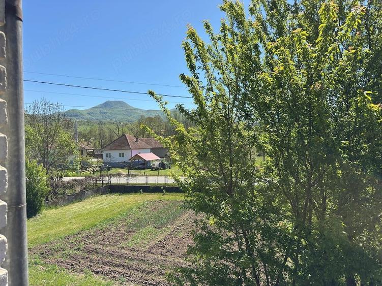 Casă cu 3 camere cu Teren 7247 Mp în Hărțăgani