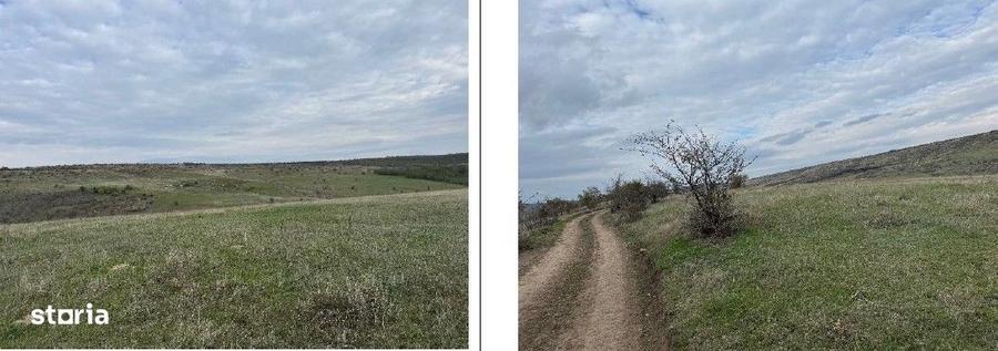 Teren de 4500 mp, în Perieni