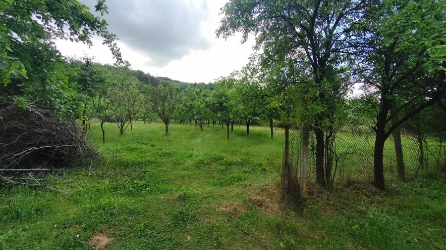 Casă cu 3 camere în Pianu