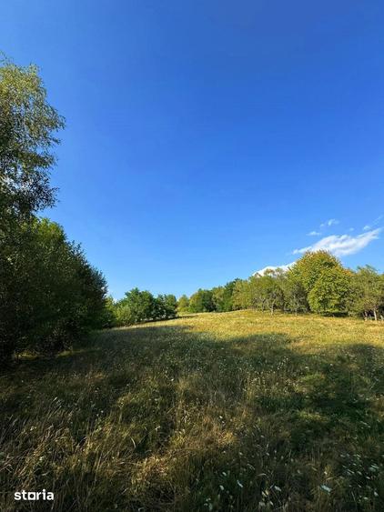 Teren de 6262 mp, în Nucșoara