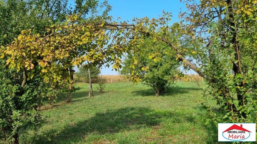 Teren Construcții intravilan de 5700 mp, în Decebal